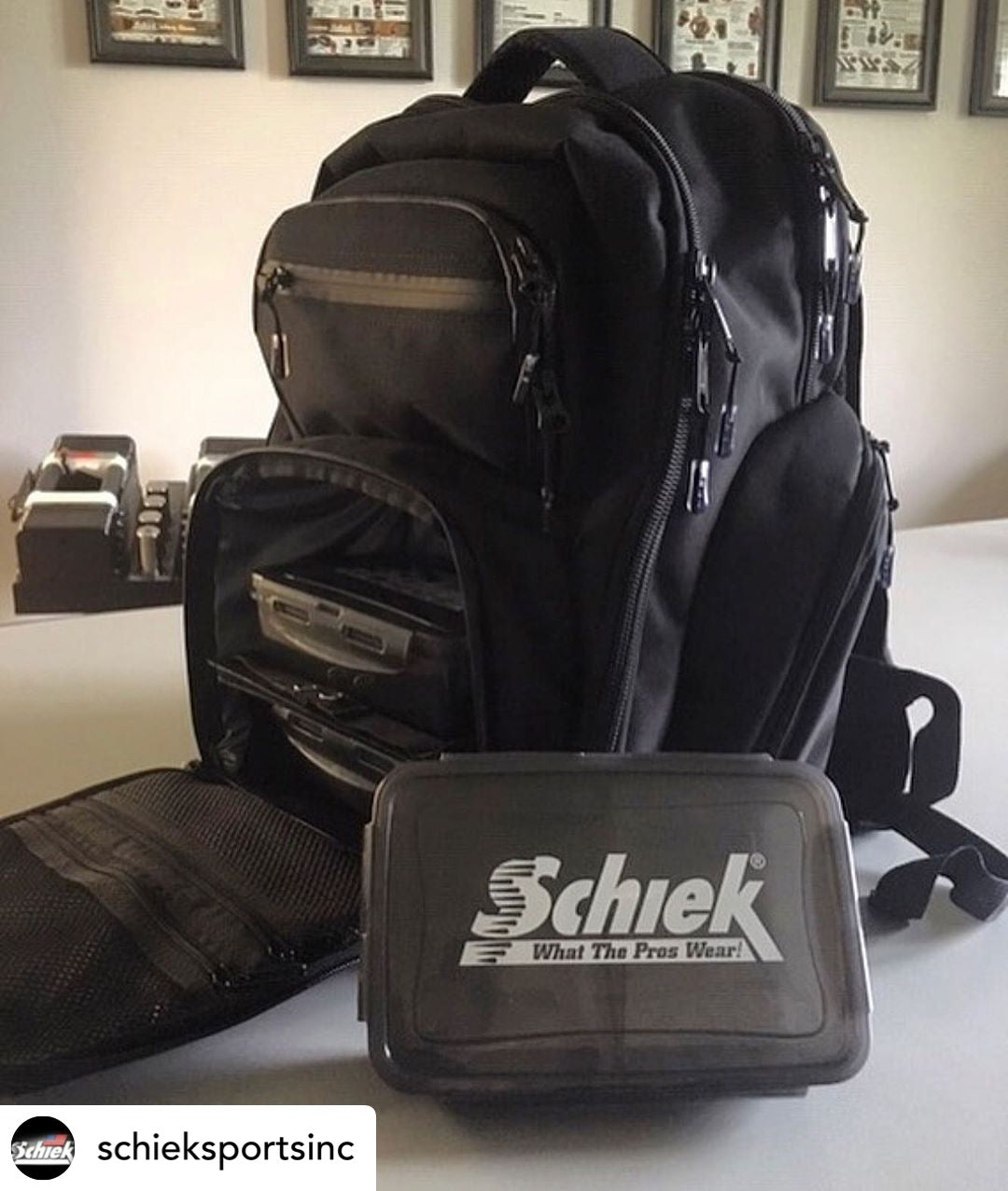 Schiek Meal Pack Backpack